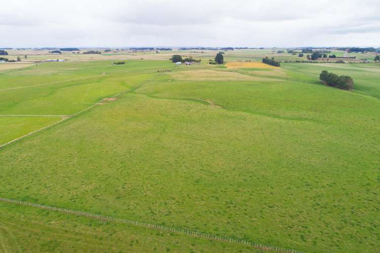 63b Sligo Terrace Roslyn_13