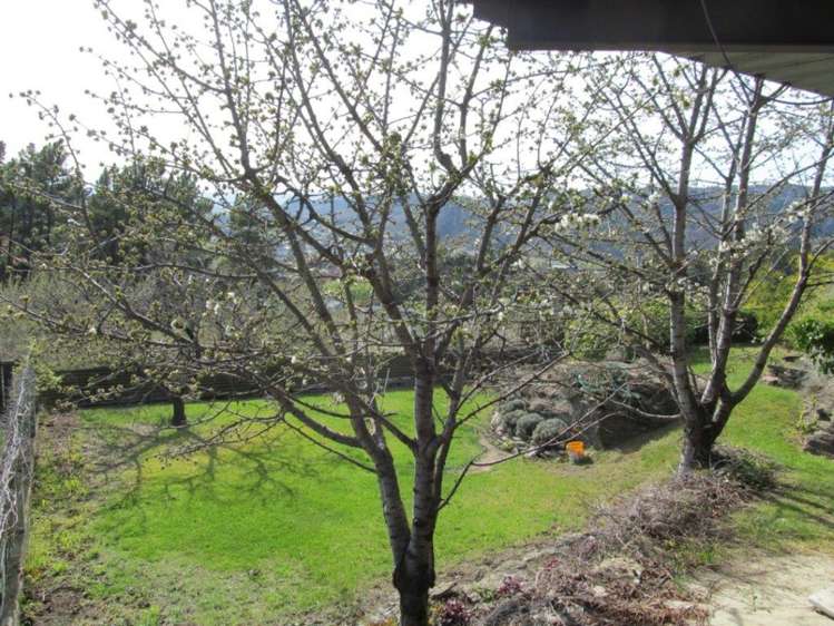 17 Kamaka Crescent Alexandra_20