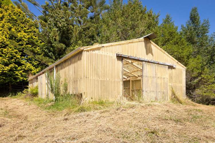 236 Willoughby Road Tahawai_25