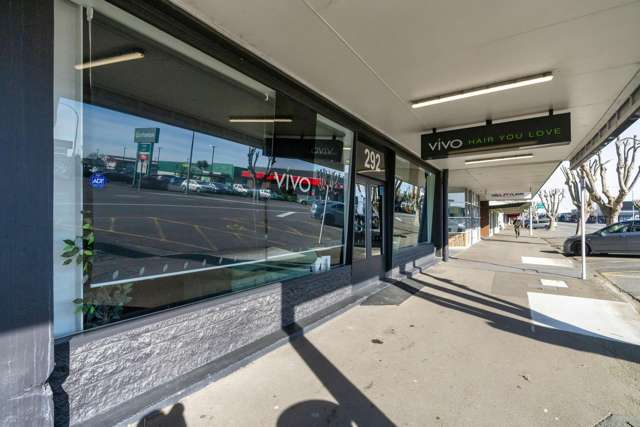 292 Oxford Street Levin_2