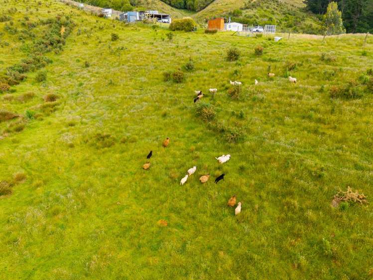 121 Townsend Road Geraldine_24