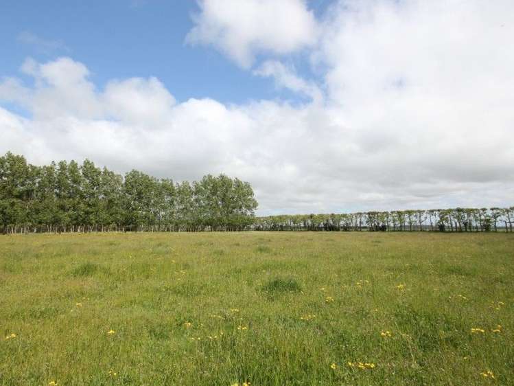 87 Wakanui School Road Wakanui_25