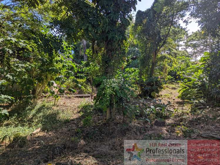 Address withheld Taveuni_16