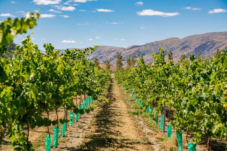 42 Gladsmuir Road Queensberry_19