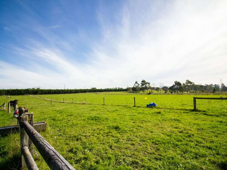 13 Station Road Loburn_16