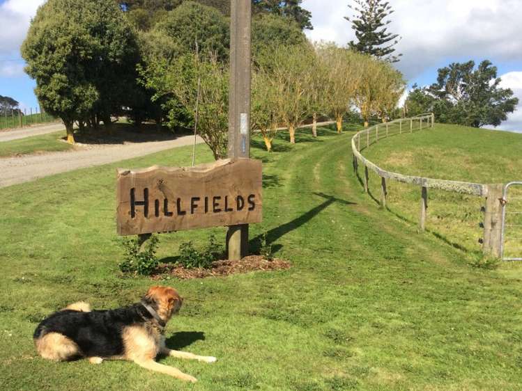 78 Morrison Road Arapohue_22