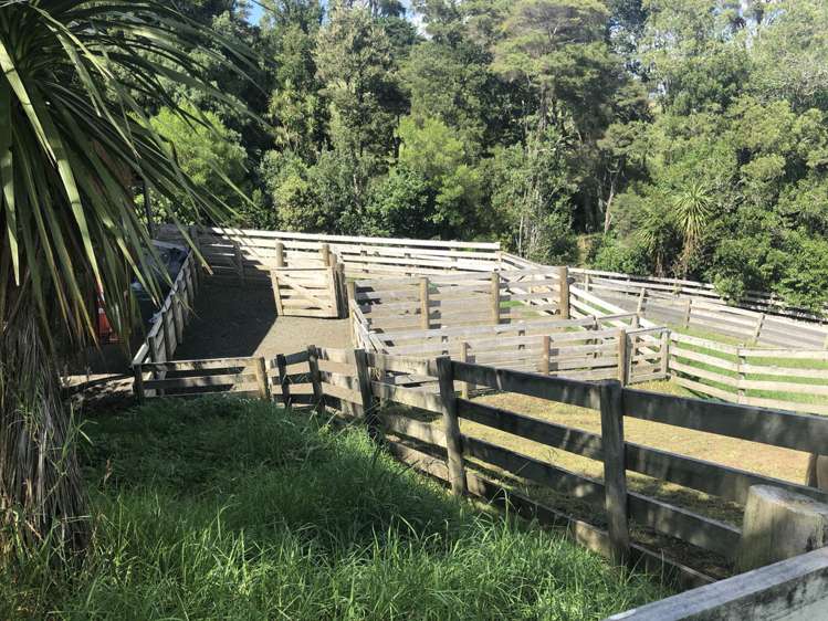 Weranui Road Wainui_20