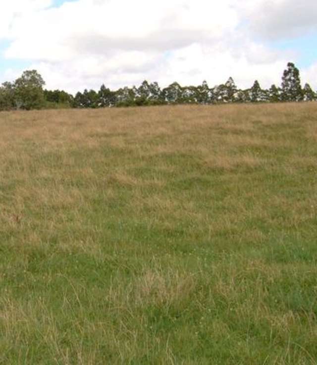 749 Waitakere Road Kumeu_3