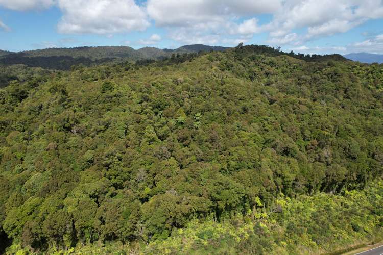 Marsden Road Greymouth_11