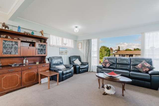 1 Irene Crescent Dinsdale_4