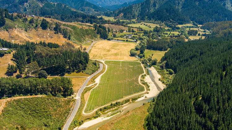 Northbank Road Kaituna_9