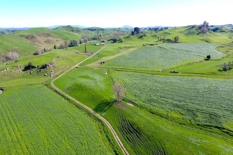 161 Veale Road Otorohanga_8