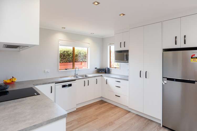 3 Carter Crescent Awapuni_6