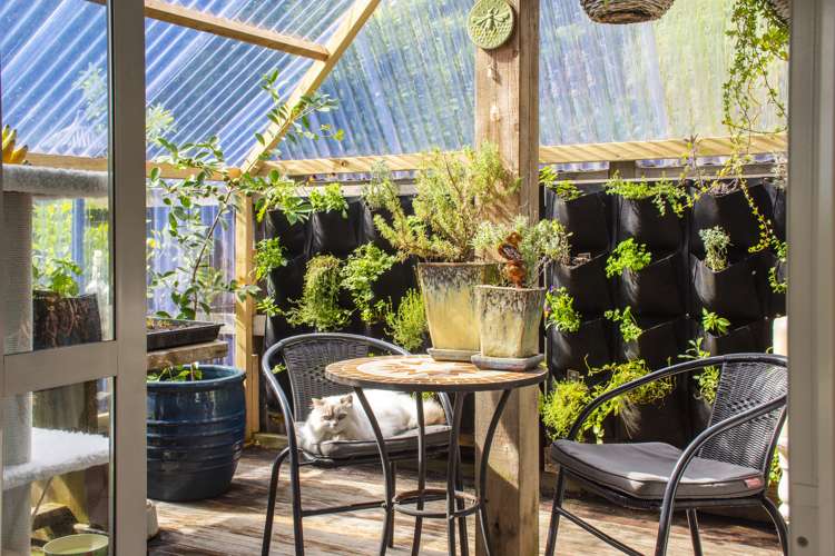 4 Goldfinch Place Welcome Bay_10