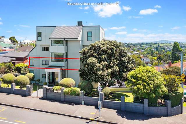 Renovated Remuera Refinement