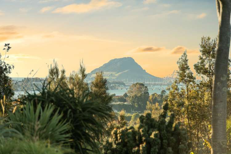 14 Wade Place Welcome Bay_6