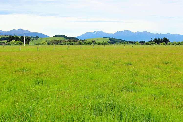 105 Lynwood Road Hillside_19