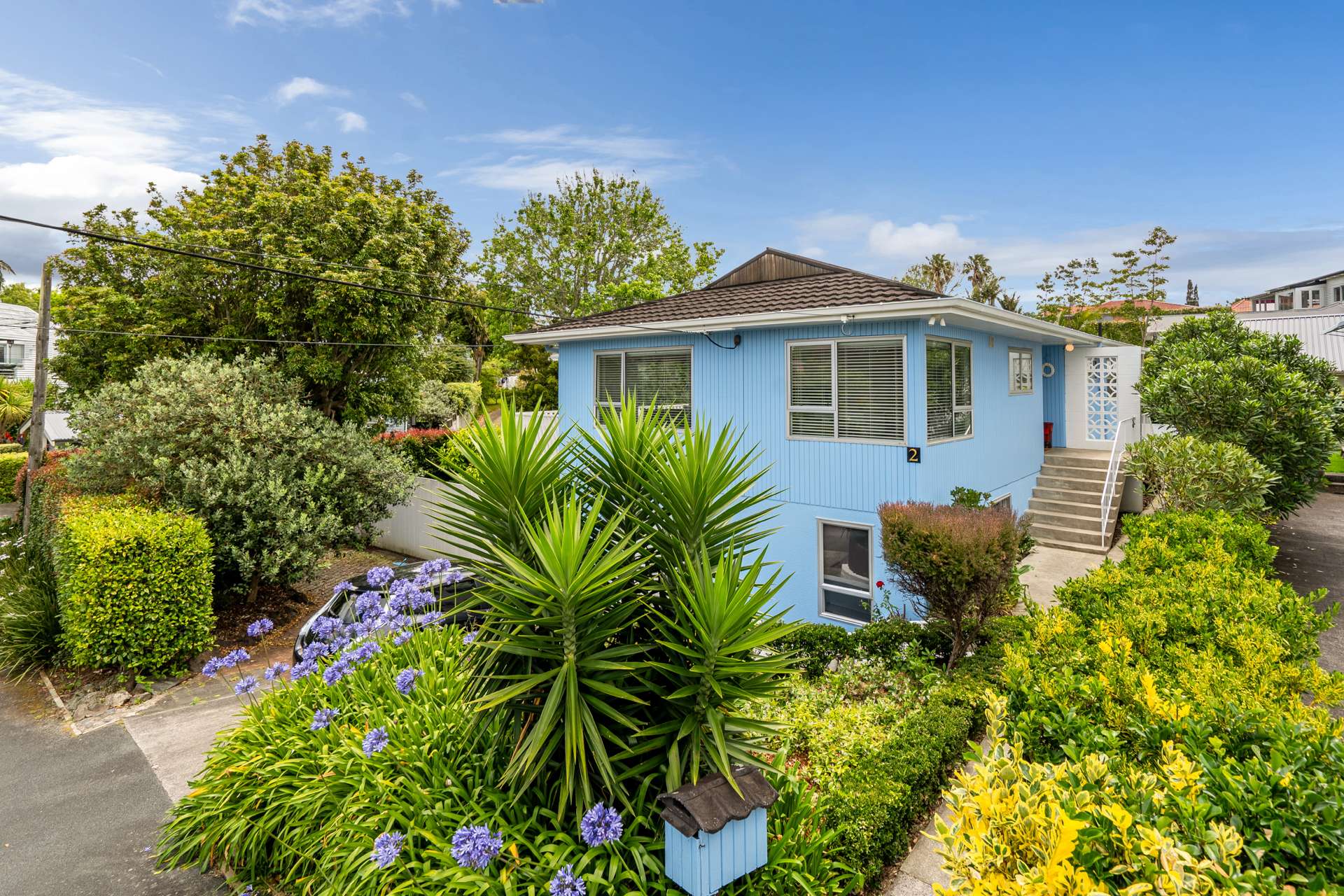 2 Grove Road Devonport_0