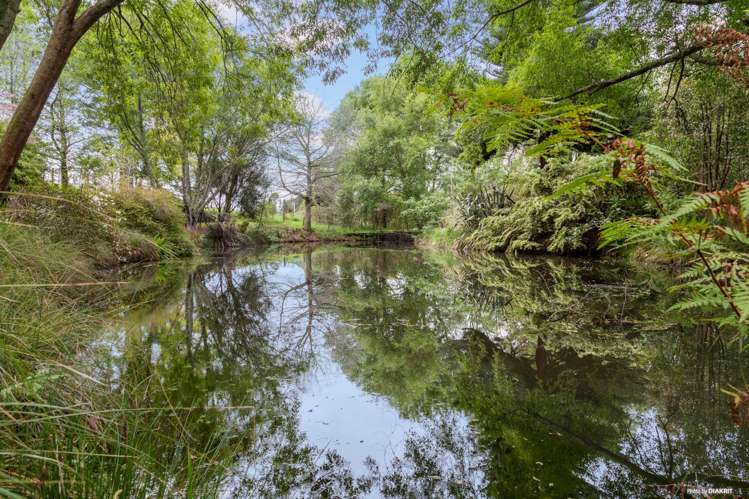 703 Runciman Road Pukekohe East_28