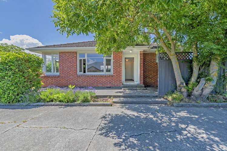 40 Hororata Dunsandel Road Dunsandel_15