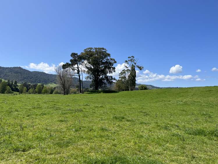 1027 Tauranga Road Te Poi_13