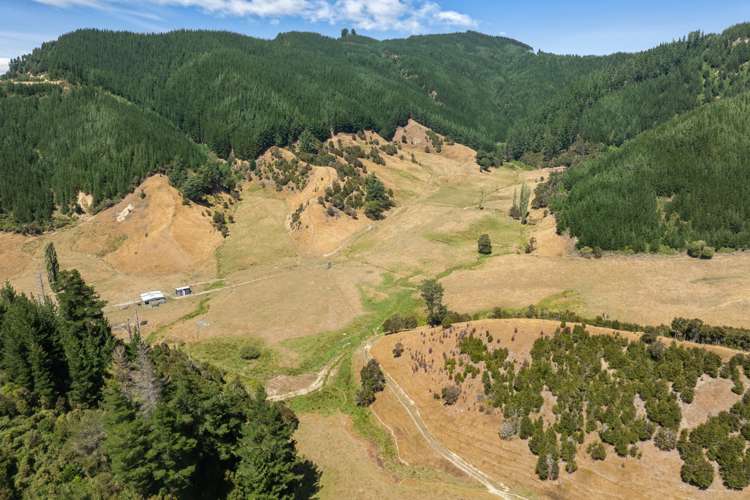 407 Onamalutu Road Wairau Valley_42