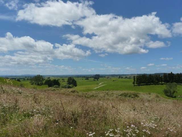 389d Paraonui Road Putaruru_2