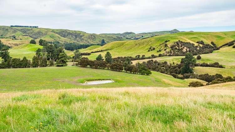 48 Heathfield Road Greta Valley_20