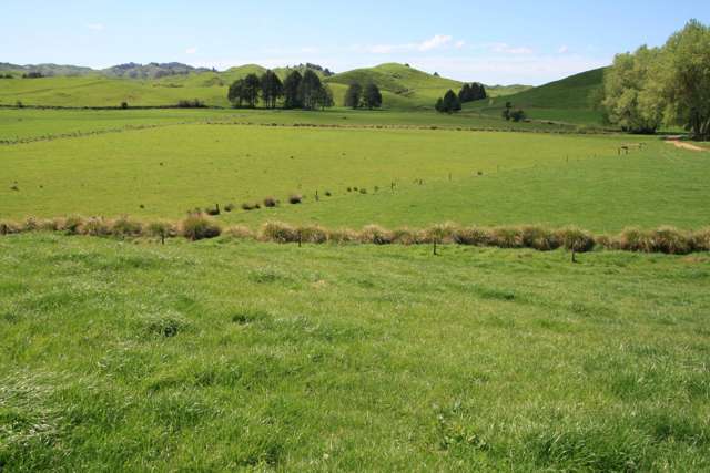 DOUGLAS 250HA DAIRY FARM