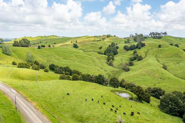 Mangarata Block Road (18.56 ha) Tangiteroria_4