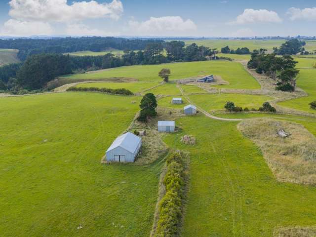 116 Karahaki Road Waverley_2