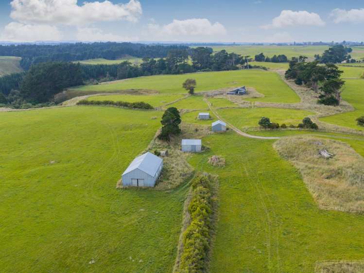 116 Karahaki Road Waverley_2