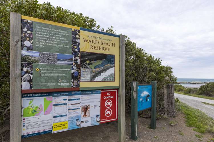 18 Clermont Street Ward_33