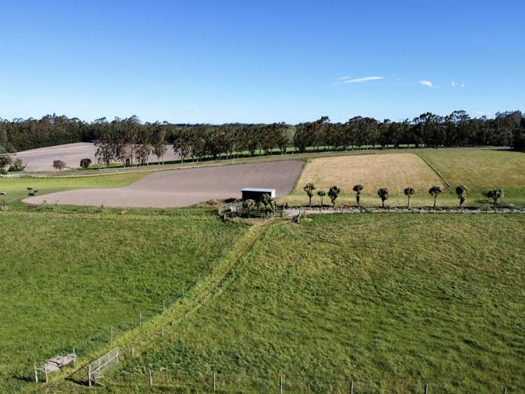 356 Hadlow Road Claremont_17