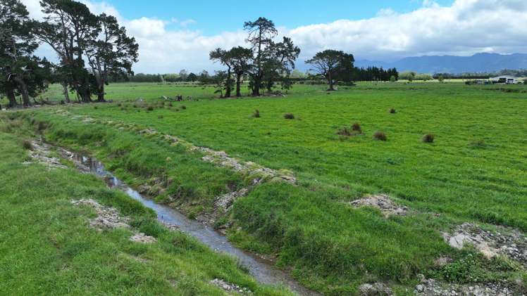 Duddings Line Tauherenikau_8