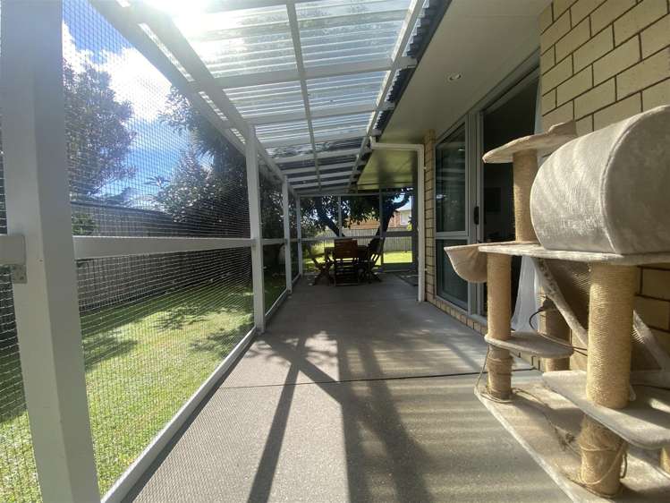 56a Ward Street Kawerau_16