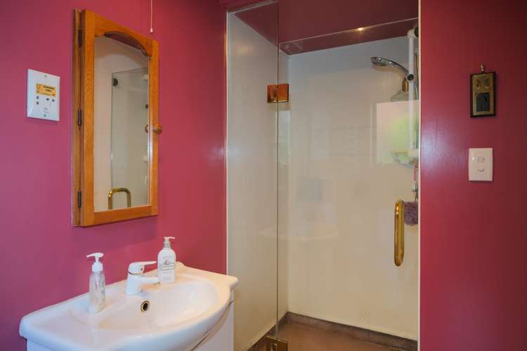 36 Brown Street Dunedin Central_9