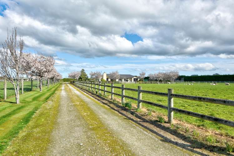 24 Mckinnon Road Edendale_41