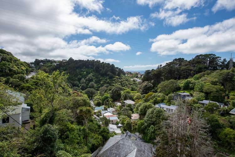 11 Mt Pleasant Road Aro Valley_5