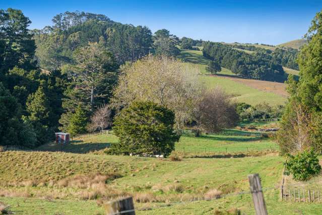 334A Komokoriki Hill Road Makarau_1