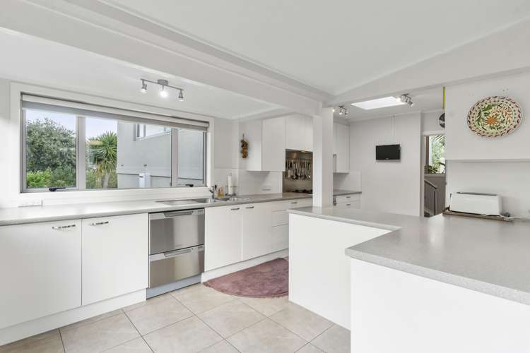 71 Frederick Street Hillsborough_7