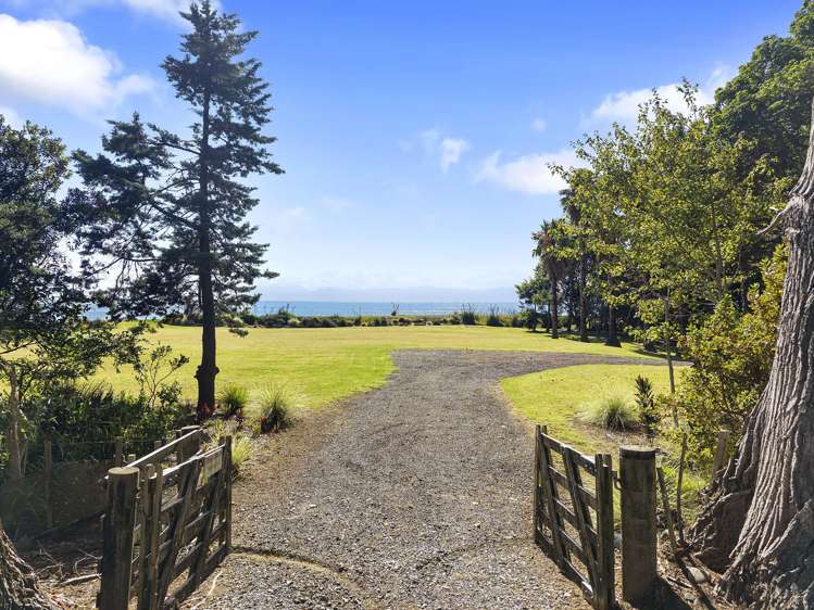 1650 East Coast Road Whakatiwai_12