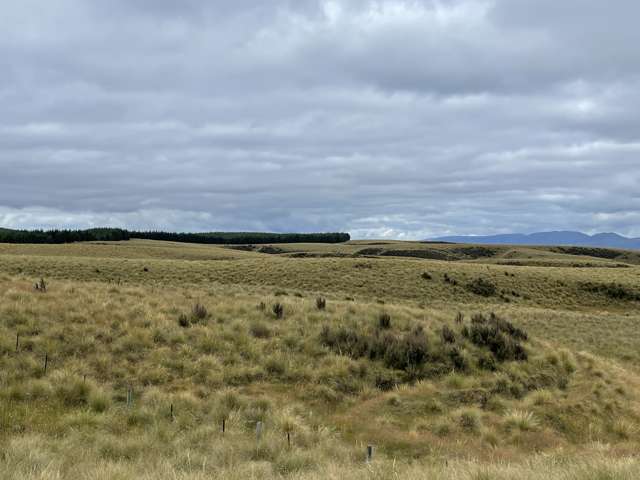 732 Beaumont Highway Clutha_4