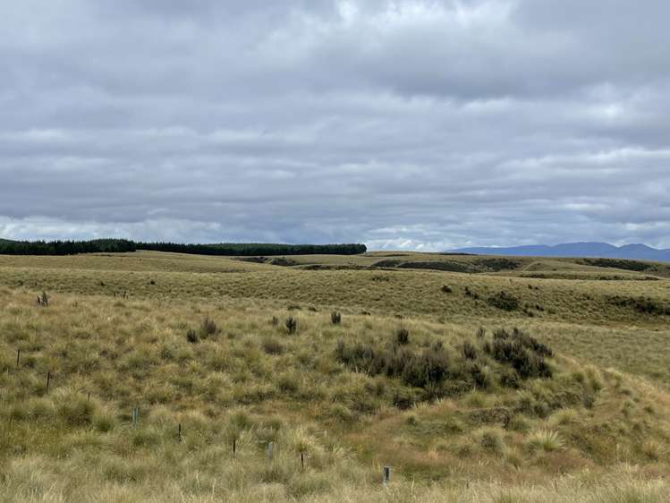 732 Beaumont Highway Clutha_4