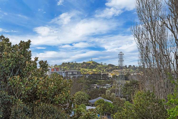 52 Carlton Street Hillsborough_45