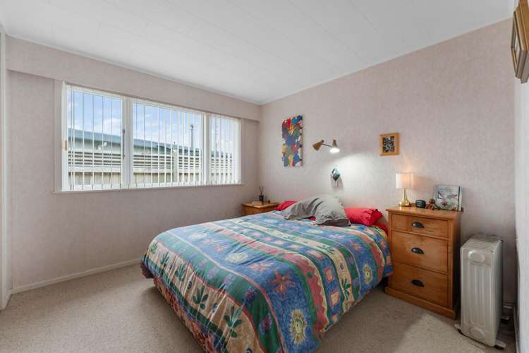 116 Elizabeth Street Tauhara_9