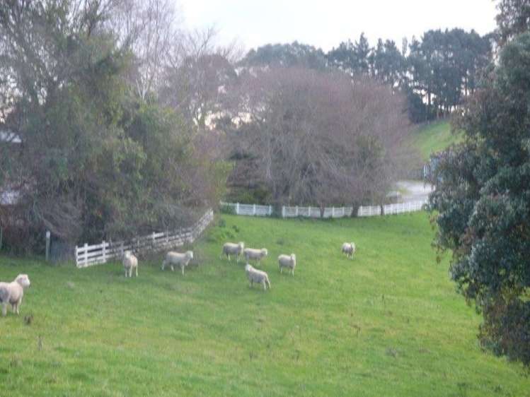 692 Spur Road Bunnythorpe_12