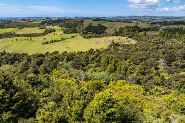 88 Garbolino Road Mangawhai_27