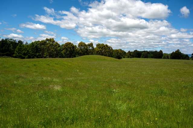 286 Jay Road Reporoa and Surrounds_2