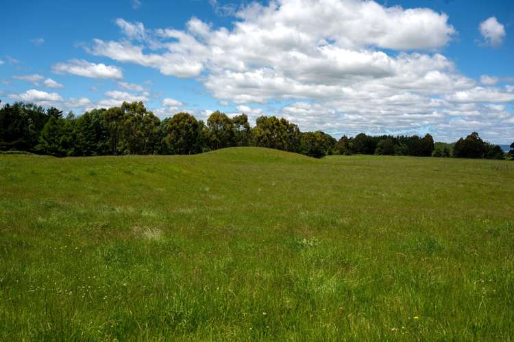 286 Jay Road Reporoa and Surrounds_2